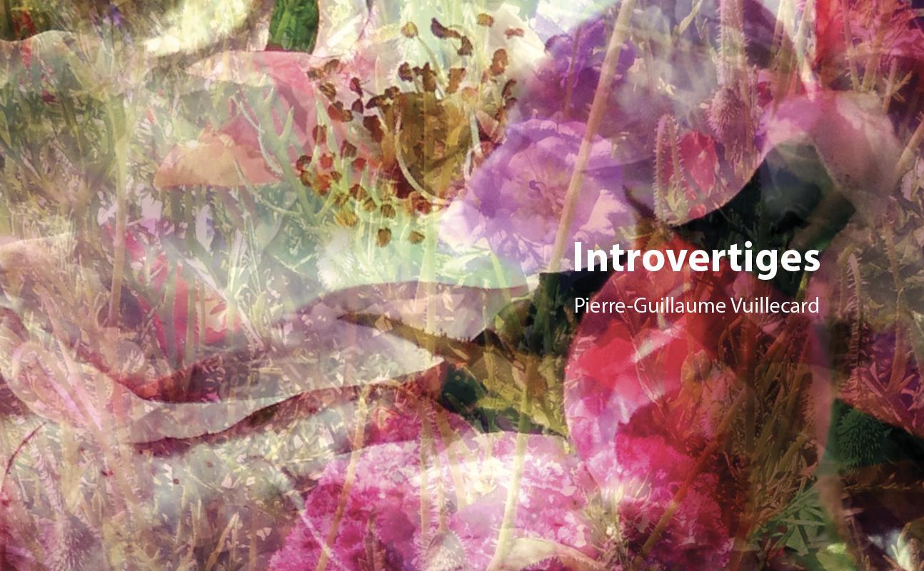 Introvertiges