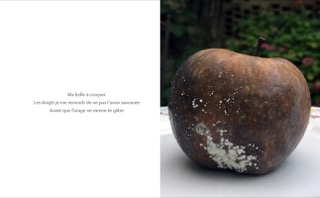 Pourrite