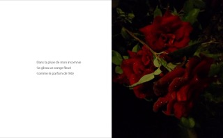 Rouge et Noir