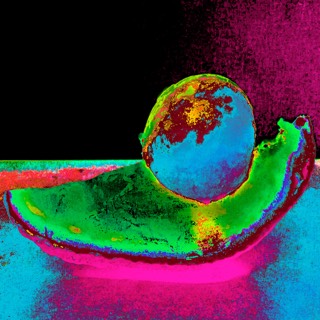 Avocadæ Confinæ