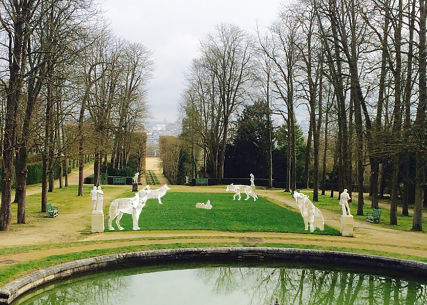 Cinq loups à Saint-Cloud