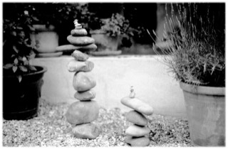 Entre potes