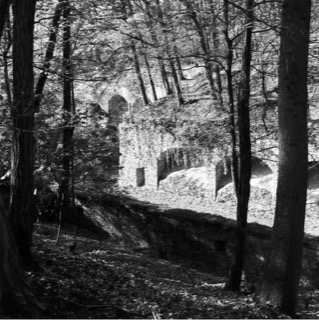 Forestier