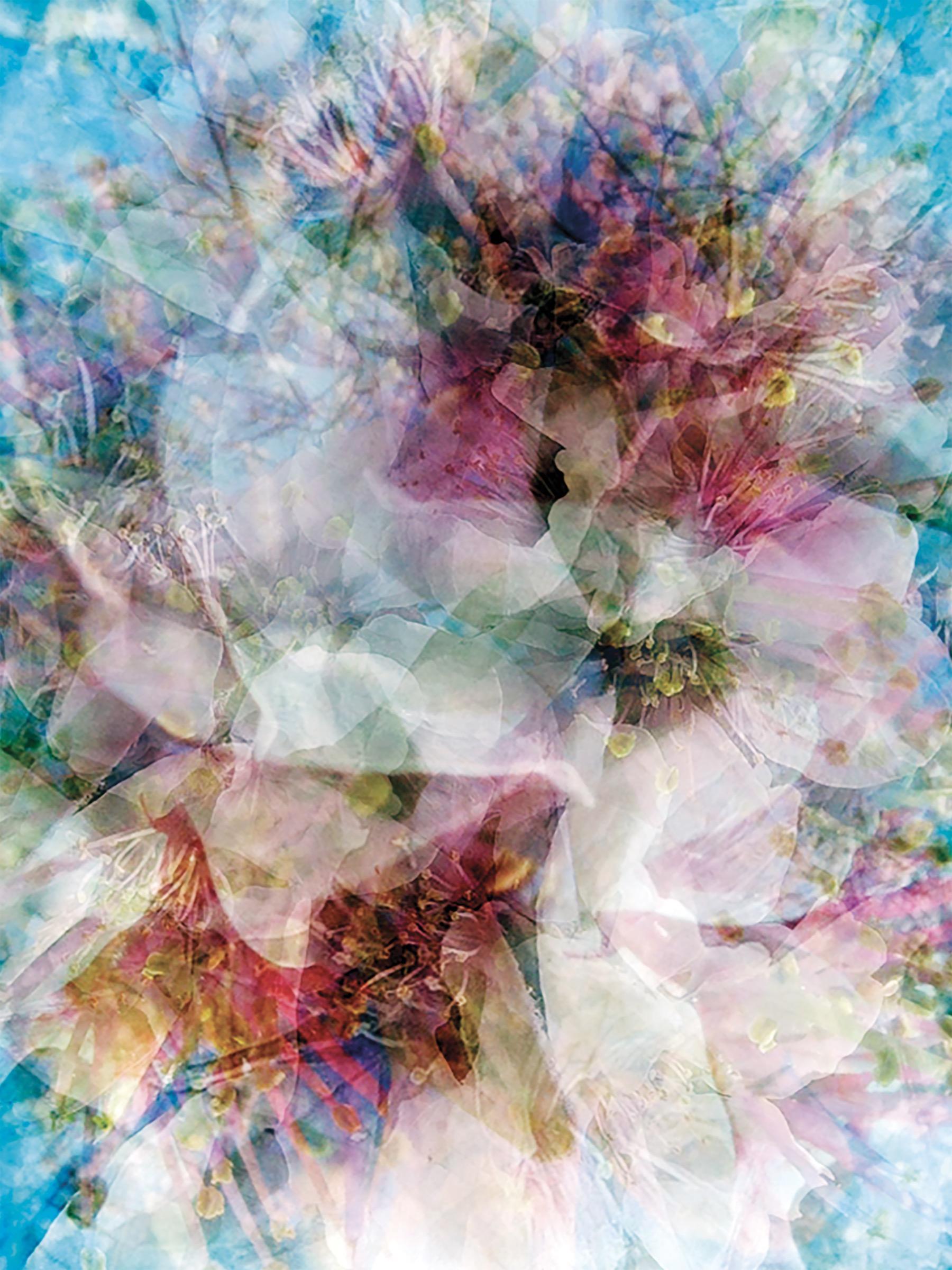 Inspirations florales