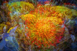 Couleurs sèches