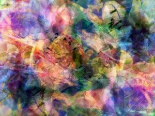 Effloraison