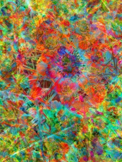 Empreintes de printemps