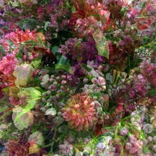 Fragrance automnale