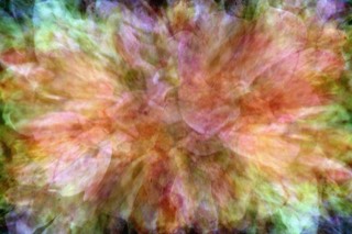 Le réveil du Printemps