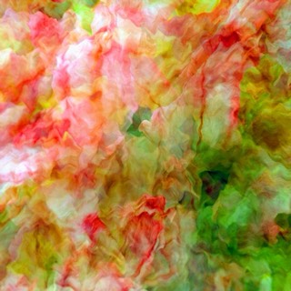 Refluge